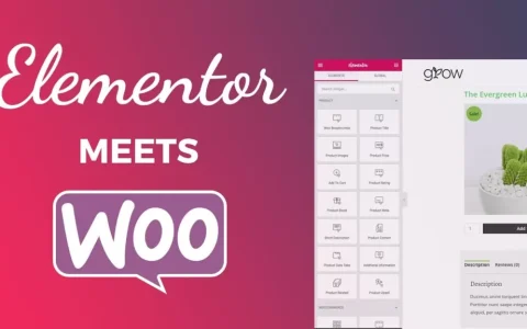 WooCommerce与Elementor打造个性化电商网站教程